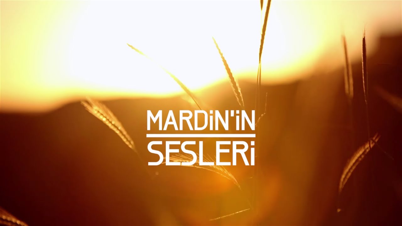 MARDN'N SESLER